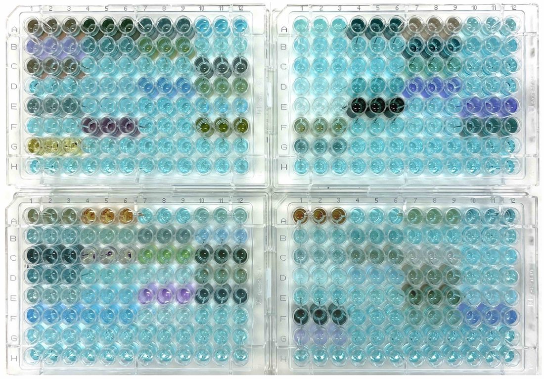 Lab Photo: Element-Dependent Charge-Supply and Charge-Transfer Balance in Oxide Photocatalysts Identified by High-Throughput Kinetic Screening